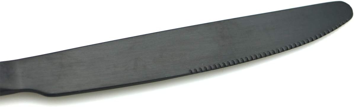 JASHII Modern Royal 20 Pcs Matte Black 18/10 Stainless Steel Utensils Cutlery Dinnerware Set w/ 4 Pcs Straw, Knife Fork and Spoon Flatware Set for Wedding Festival Christmas Party Service for 4