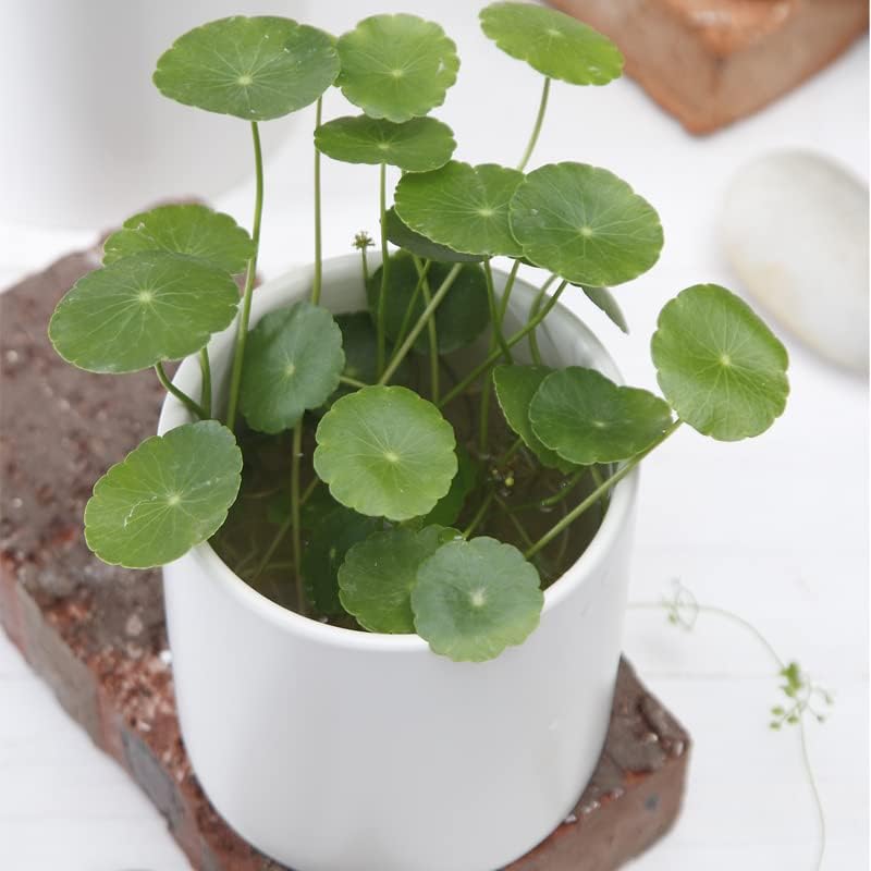 kitchen Utensil Crocks Large Utensil Crock, White Ceramic Cooking Utensil Organizer for Farmhouse Kitchen Decor Gift