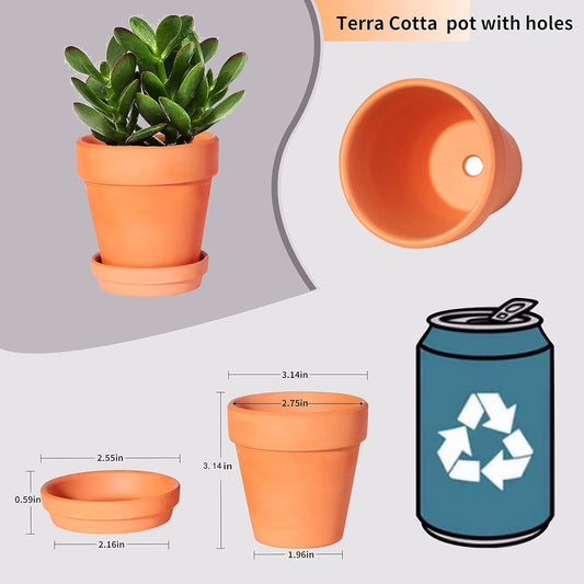 3 Inch Terracotta Pots with Saucer-20 Pack,Cactus Terra Cotta Flower Pot with Drainage,Succulent Nursery Clay Pots Great for Plants,DIY Crafts, Wedding Favor