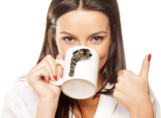 Winston & Bear Cute Reaching Tabby Cat Mug - Ceramic Coffee Mug Gift for Cat Lovers - Perfect Birthday or Christmas, Father's or Mother's Day Gift(11oz)