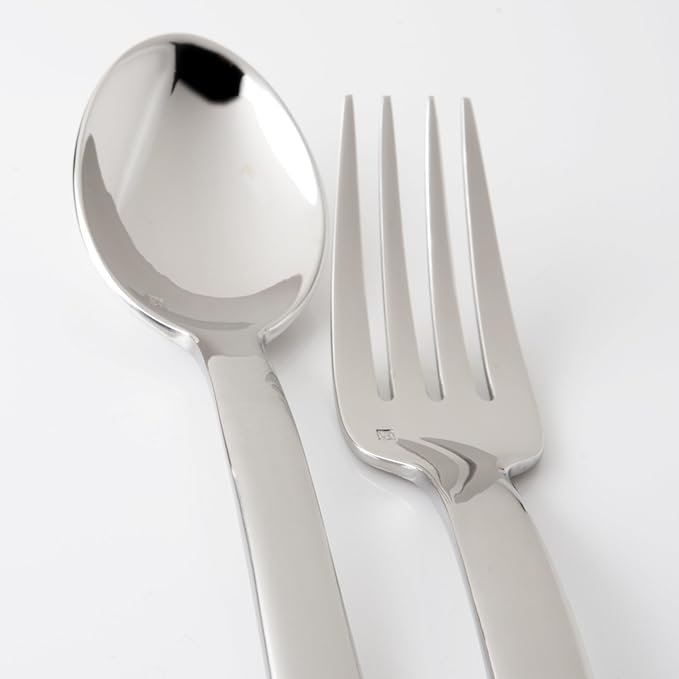 Fortessa Still 18/10 Stainless Steel Flatware, 5 Piece Place Setting, Service for 1,Silver