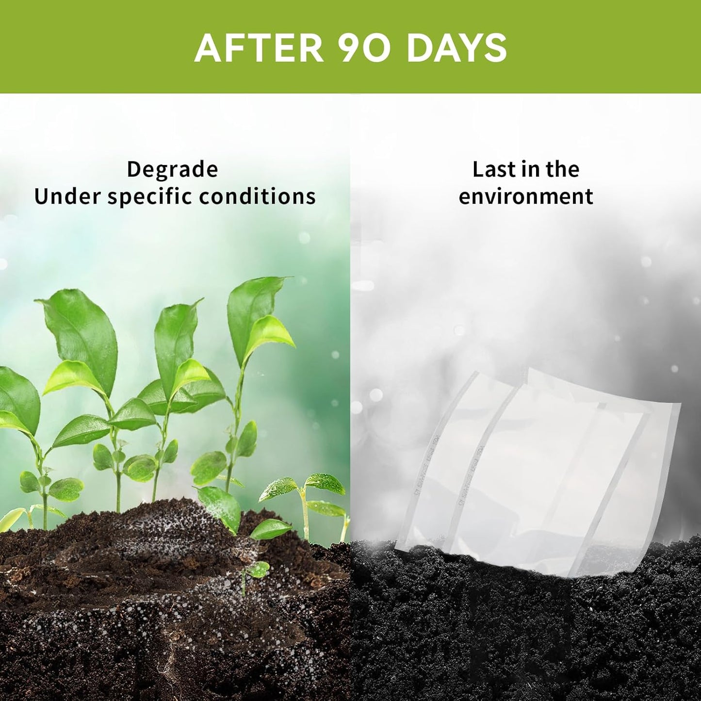 VestaEco Compostable Vacuum Sealer Bags, 8" x 12" 50 Count, Eco-Friendly, Heavy-Duty Food Storage Bags, BPA-Free, for Storage, Meal Prep or Sous Vide