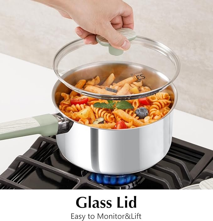 KOCH SYSTEME CS Stainless Steel Saucepan with Lid, 2QT Stainless Steel Pot with Stay-Cool Handle, 2 Quart Small Cooking Pot, Non-toxic Sauce Pan, Induction Compatible Pot, Dishwasher Safe