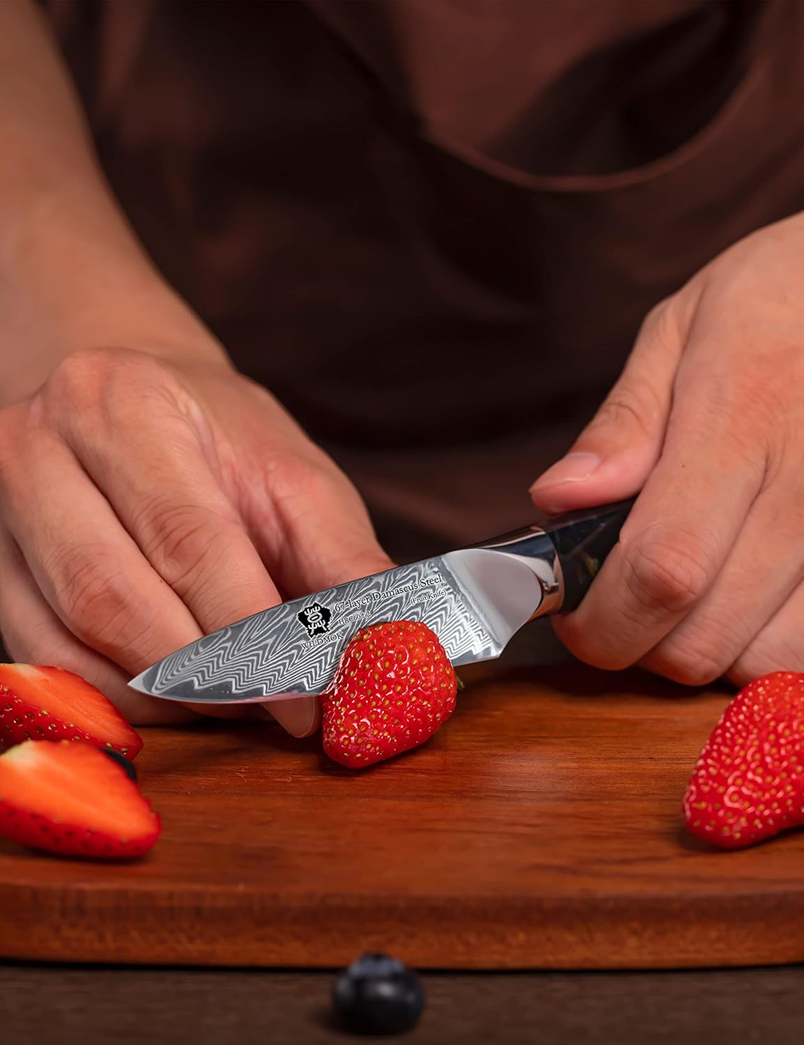 WILDMOK Damascus Paring Knife, 3.5 Inch Japanese 67-layers Damascus Steel, Professional Paring Knife, Ultra Sharp Blade Cooking Utility Knife, Full Tang Ergonomic Resin Handle