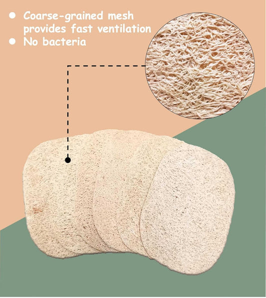 WOCATS 12pcs Natural Loofah Dish Sponges Scrubber for Kitchen-Based Dishwashing Scrubber Greener Clean Stand Wear and Tear Non-Scratch, Biodegradable (12)