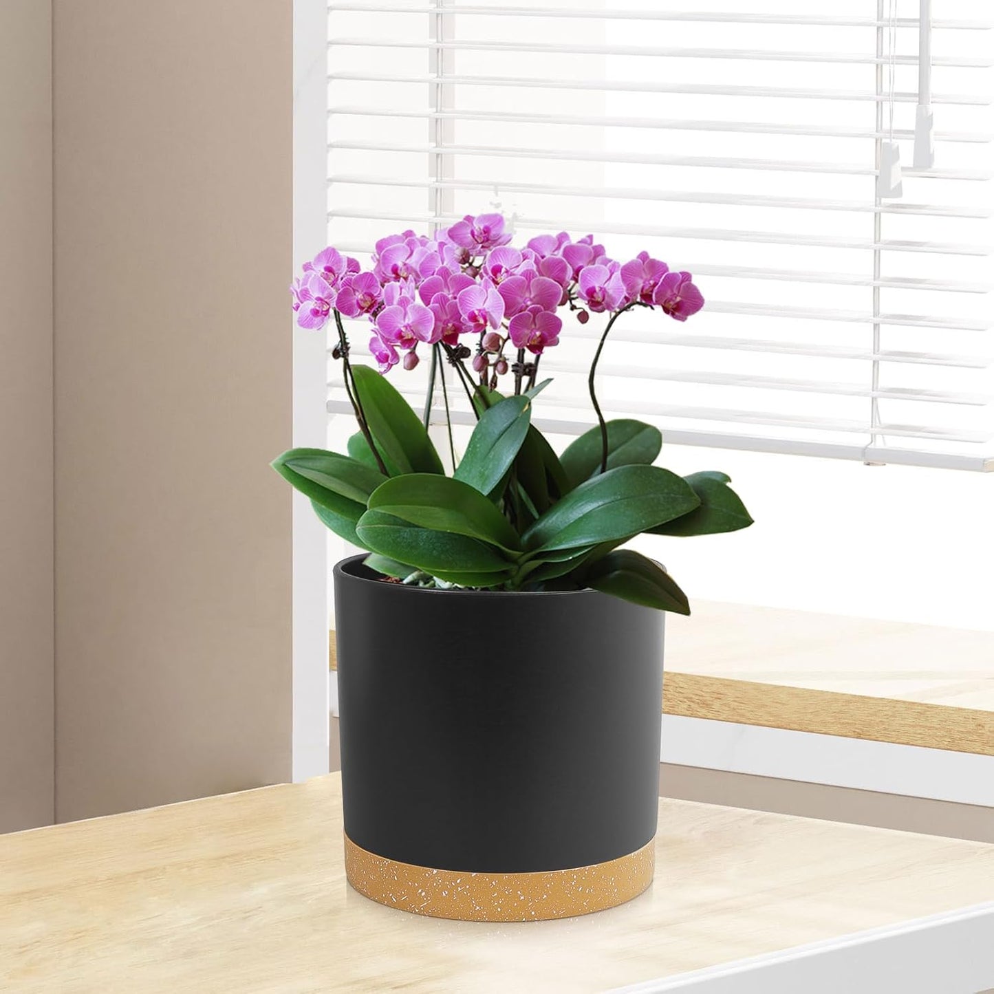 3 Pack 6/5/4 inch Cylindrical Flower Pots, Modern Small Round Plastic Plant Pots with Drainage Holes & Saucers, Clean and Refined Planter Pots for Outdoor, Indoor & Office Decor (Black Brown)