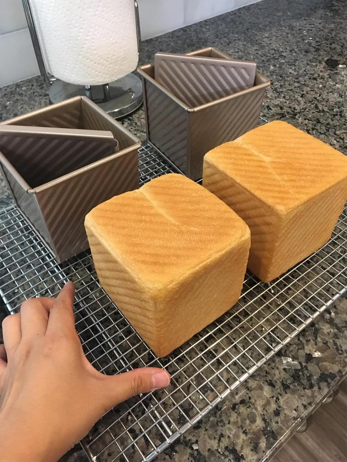 2 mini Pullman bread pans with lids, 0.55Lb non stick rectangular flat toaster box, 3.9x4.7x4.3 inches for oven baking (champagne gold)