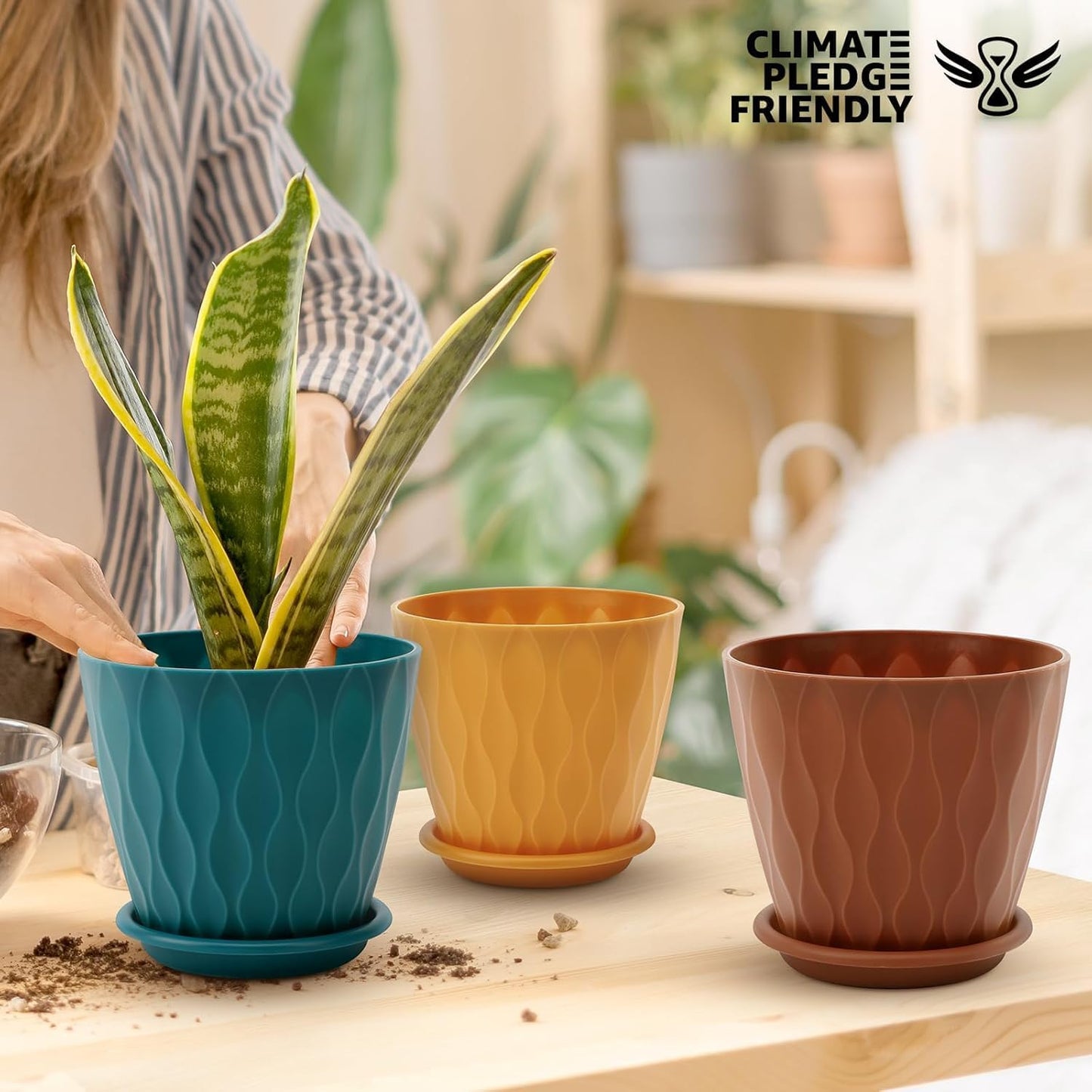 6 inch Plant Pots, 5 Pack Flower Pots Outdoor Indoor, Planters with Drainage Holes and Tray Saucers(Multicolor)