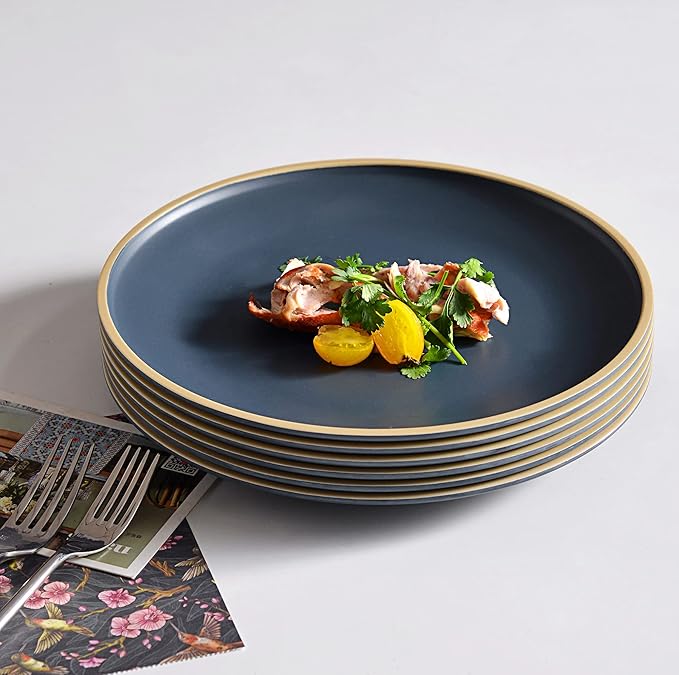 Melamine Dishes Sets of 6, Melamine Plates,10.5 Inch Dinner Plates, Outdoor Dinnerware Sets, Unbreakable, BPA Free, Dishwasher Safe, Blue