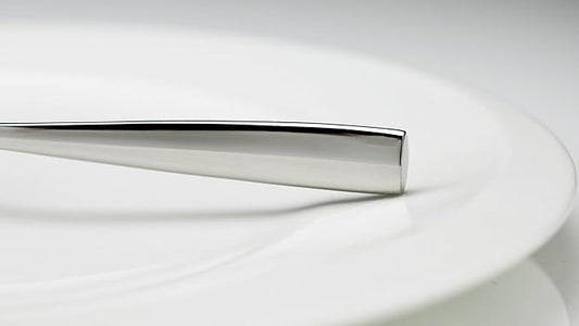 Fortessa Lucca 18/10 Stainless Steel Flatware Serving Spoon, 9.7-Inch