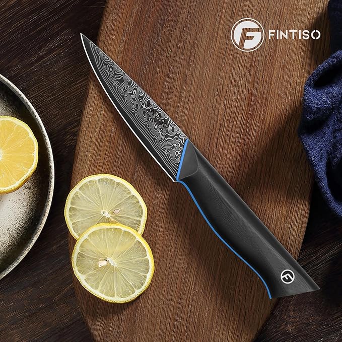 3.75 Inch Paring Knife, Fruit Knives with G10 Handle, 67-Layer Japanese Damascus Steel Forged Small Kitchen Knife, Ultra Sharp Knves with Exquisite Package