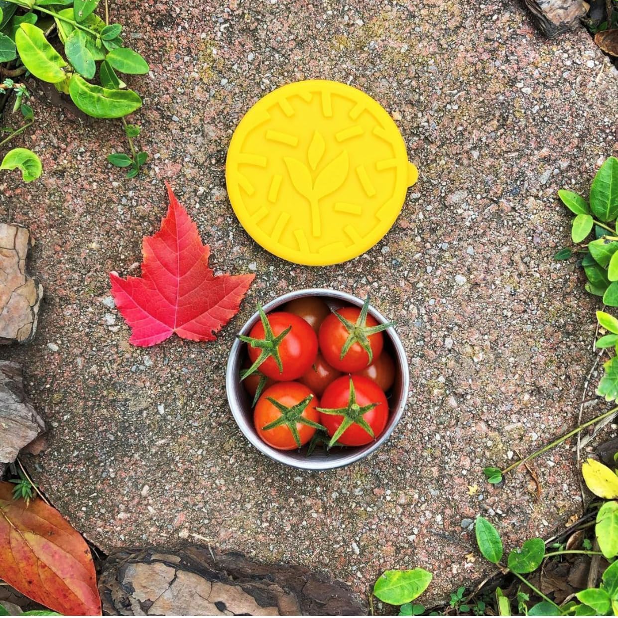 TAVVA 4 X 3 oz Stainless Steel Containers with Lids - Leakproof w/Silicone Lids - BPA Free - Dishwasher & Freezer Safe - Portable & Reusable - Small Snack Cups Dressing Containers