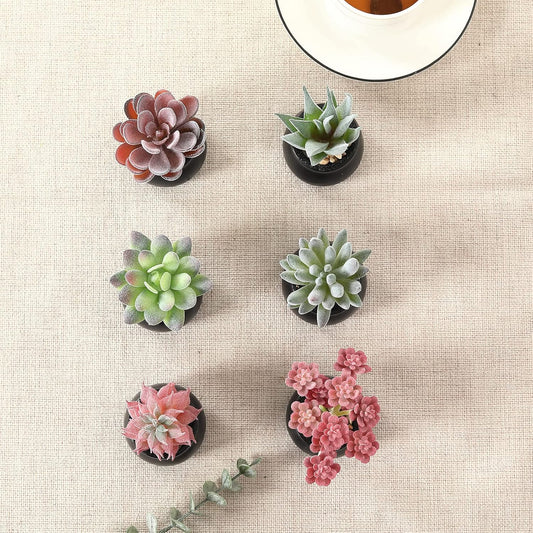 Nubry Mini Fake Plants in Ceramic Pots Artificial Small Succulents Potted Faux Assorted Lifelike Plants for Home Office Desk Decor, Set of 6 (Black Ceramic Pots)