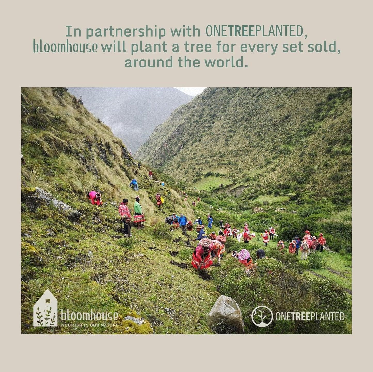 Bloomhouse Corsica Clay 4 Piece Mug Set - Sea Salt White