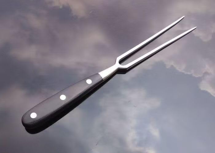 Better-Love Chef pro Stainless Steel Carving Fork Barbecue Fork BBQ Tools Meat Forks 12 Inch,Suitable for kitchen, BBQ(12 inch) (black)