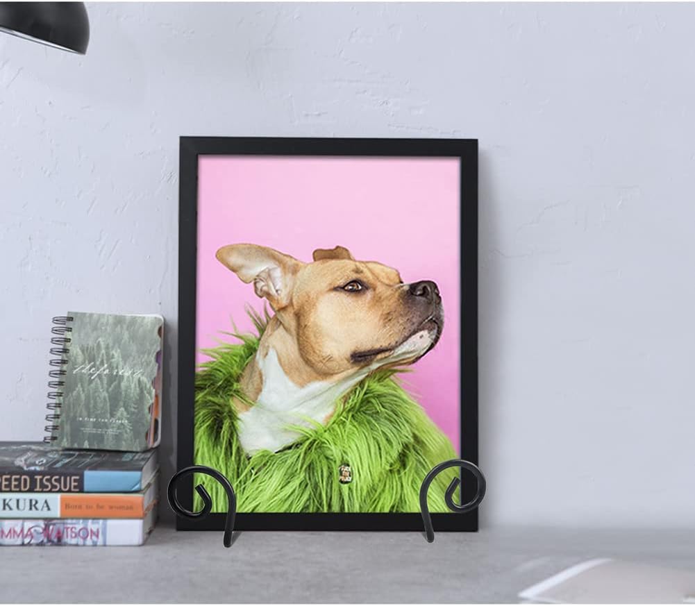 YY YEARCHY Plate Stand Holder for Wall 8 Pieces Hanging Display Rack Art Hanger Metal Easel Photo Holder Books Bowls Platters