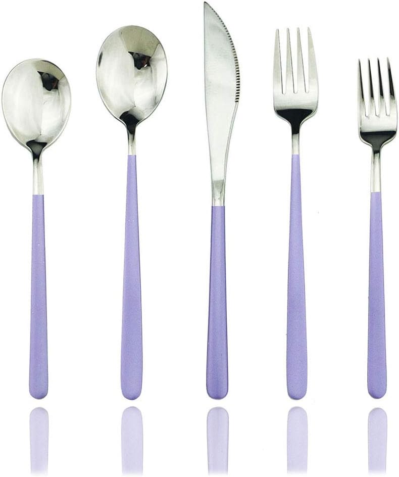 JASHII SUS304 Stainless Steel Flatware Cutlery Set For Home Kitchen Restaurant Hotel, Mirror Polished, 20-Piece Silverware Set for 4, Dishwasher Safe(Purple silver)