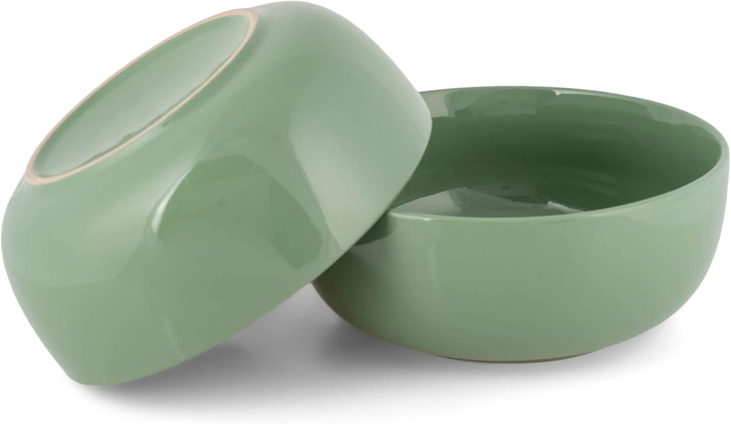 Elanze Designs Bistro Glossy Ceramic 8.5 inch Large Serving Bowls Set of 2 - Perfect for Multiple Everyday Uses: Pasta, Salad, Ramen, Soup, Popcorn, Noodles, Cereal and Mixing Bowls, Sage Green