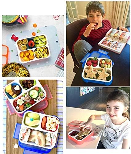 kinsho Bento Boxes for Kids, Lunch Box Set for Boys Girls Kids Adults, Leakproof 3 Compartment Containers for Meal or Snack for Pre-School Travel Work, BPA Free. Blue Orange 2 Pack Medium - Small