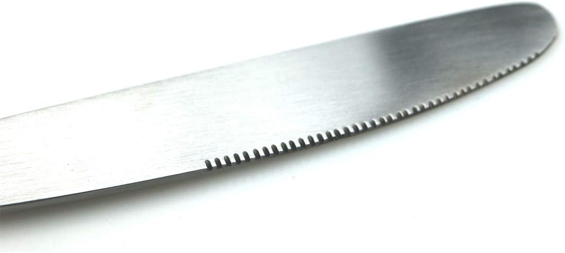 JASHII Modern Royal 5 Pcs Matte Silver 18/10 Stainless Steel Utensils Cutlery Dinnerware Set w/Drinking Straw, Knife Fork and Spoon Flatware Set for Wedding Festival Christmas Party Service for 1