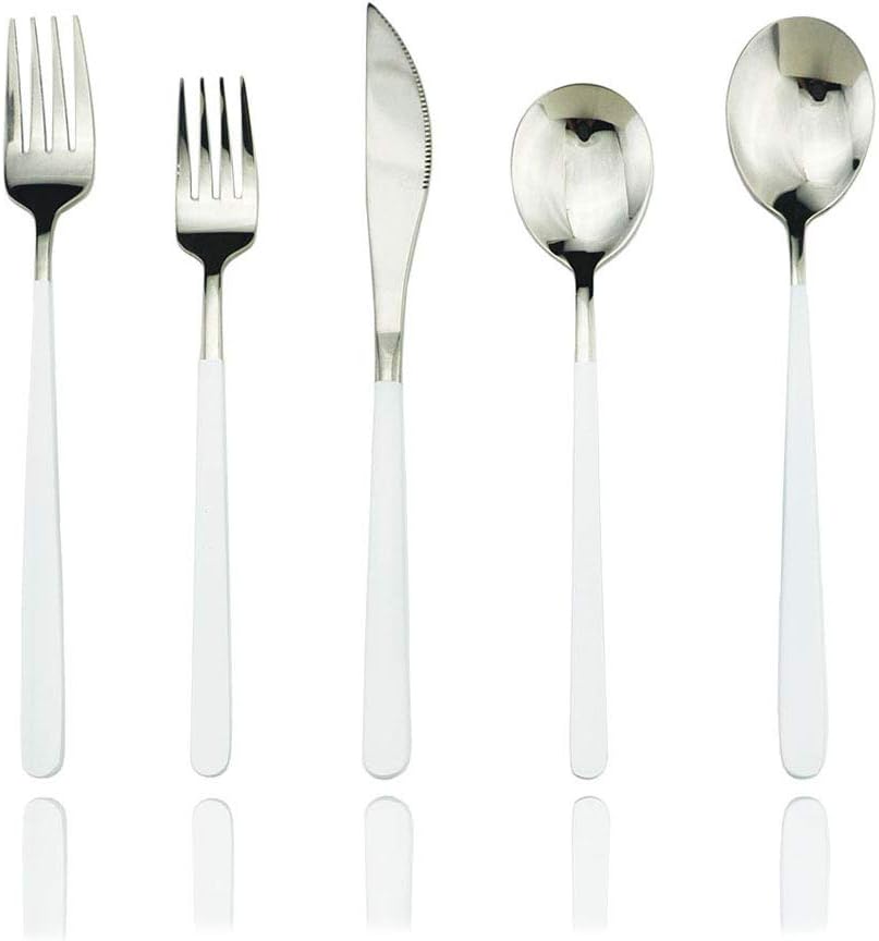 JASHII 20-Piece SUS304 Stainless Steel Silverware Set Luxury Flatware Cutlery Set Mirror Polished Service for 4 Include Knife Fork Spoon Dishwasher Safe (White silver)