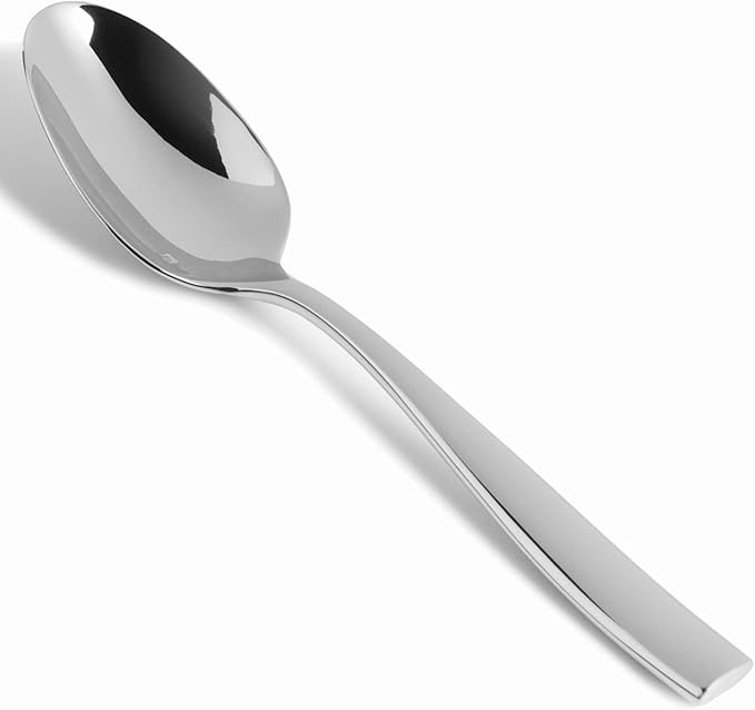 Fortessa Lucca 18/10 Stainless Steel Flatware Serving Spoon, 9.7-Inch