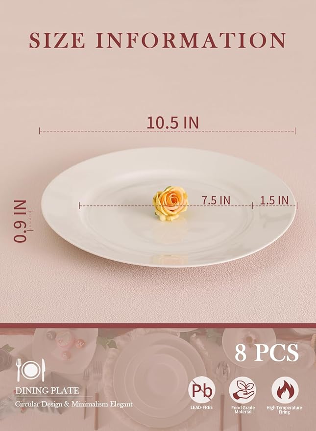 OMAYKEY 10.5 Inch Dinner Plates, Ceramic Round Plate Set, Salad Serving Modern Dishes for Steak, Patas, Pizza, Dishwasher, Microwave, Oven Safe, Scratch Resistant, Smooth Glaze, 8 Packs