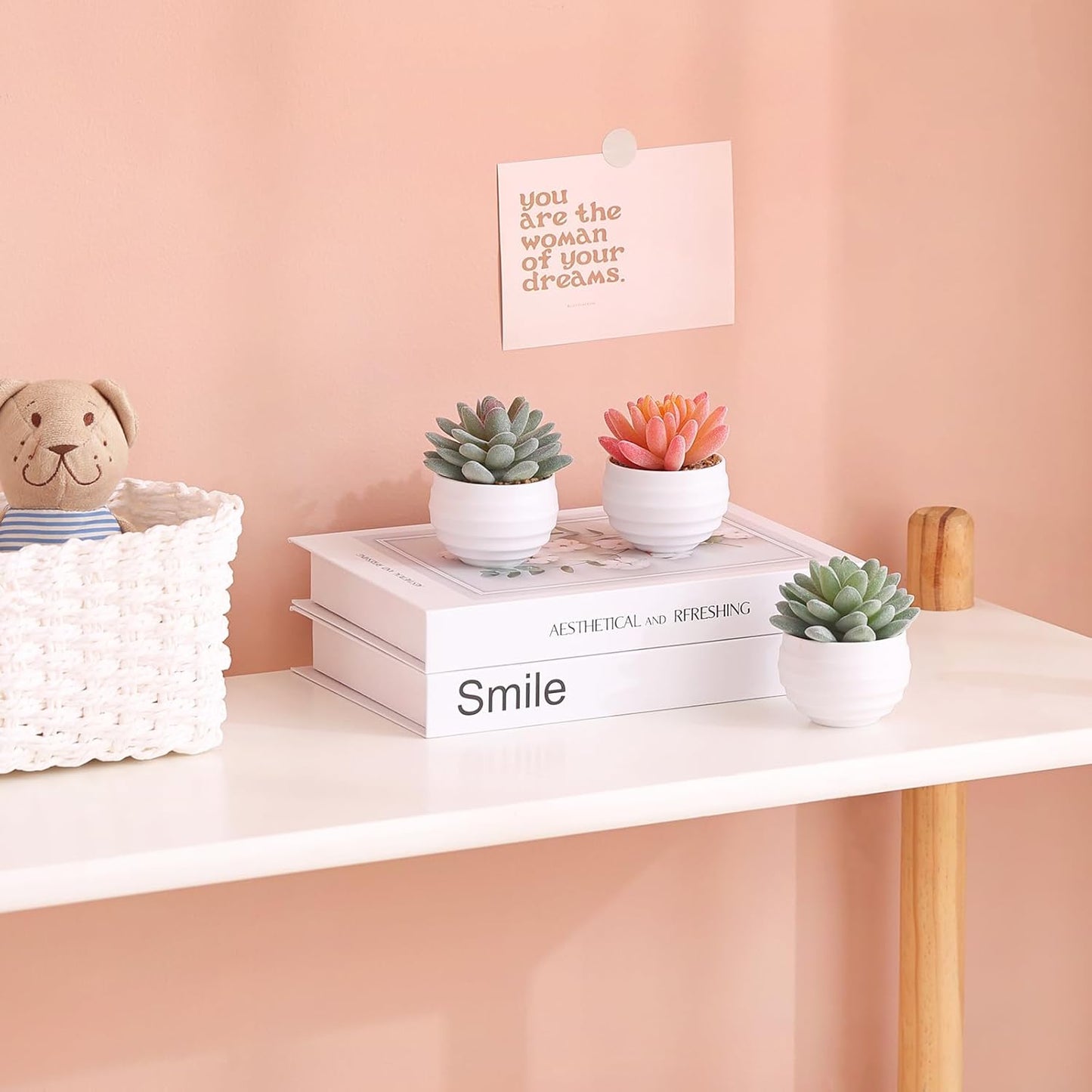 Tiita Artificial Faux Succulents in Pots Fake Plants Ceramic Arrangement Planter for Women Desk Small Mini Tiny Decoration for Home Office Desk Window