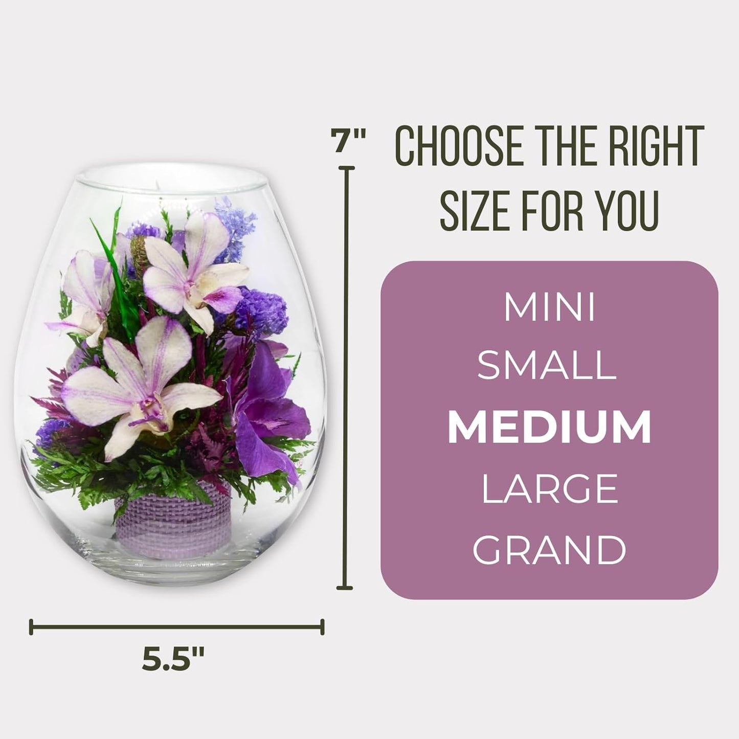 Fiora Flower Elegant Orchid Arrangement in Glass Vase | Preserved Real Orchids Lasting 5 Years | Ideal for Home Decor or Romantic Gift