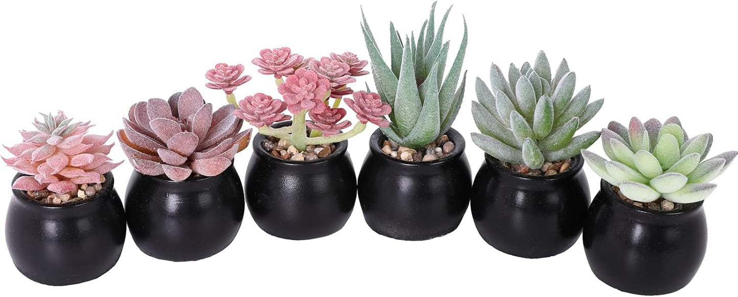 Nubry Mini Fake Plants in Ceramic Pots Artificial Small Succulents Potted Faux Assorted Lifelike Plants for Home Office Desk Decor, Set of 6 (Black Ceramic Pots)