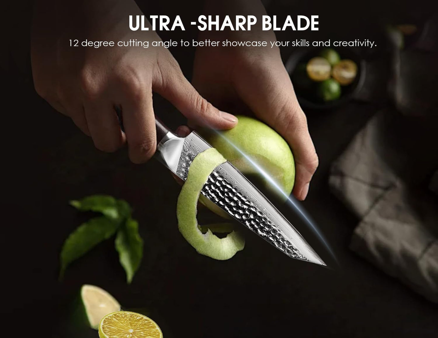 BRODARK Paring Knife, Damascus Utility Knife 5 inch, Japanese VG10 Steel Core Ultra Sharp Peeling Knife with Ebony Handle, Hand Made with Gift Box, Holiday Gifts