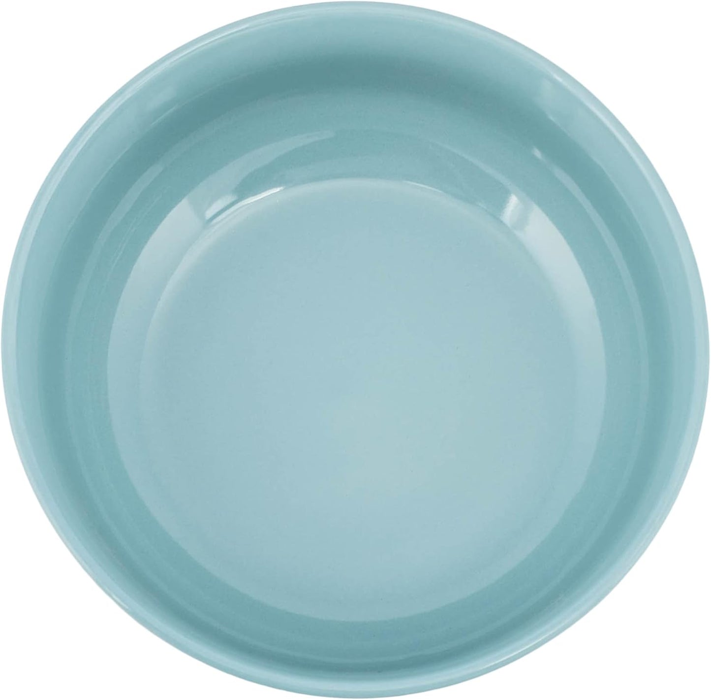 Elanze Designs Bistro Glossy Ceramic 7 inch Dinnerware Bowls Set of 4 - Perfect for Everyday uses from Pasta to Salad, Cereal to Ice cream, Ramen to Pho, Ice Blue
