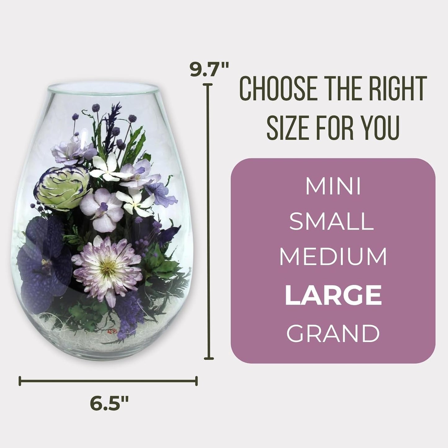 Fiora Flower Elegant Orchid Arrangement in Glass Vase | Preserved Real Orchids Lasting 5 Years | Ideal for Home Decor or Romantic Gift