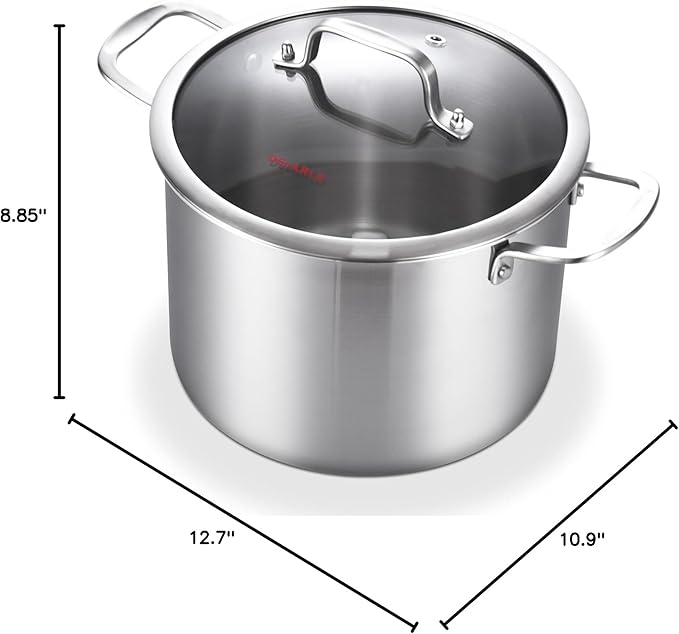 DELARLO Tri-Ply Stainless Steel 8 Quart Stock Pot, All Stove Compatible Up to 600℉ Soup Pot with Lid, 18/10 Induction Big Stockpot with Lids, Large Stainless Steel Induction for Cooking