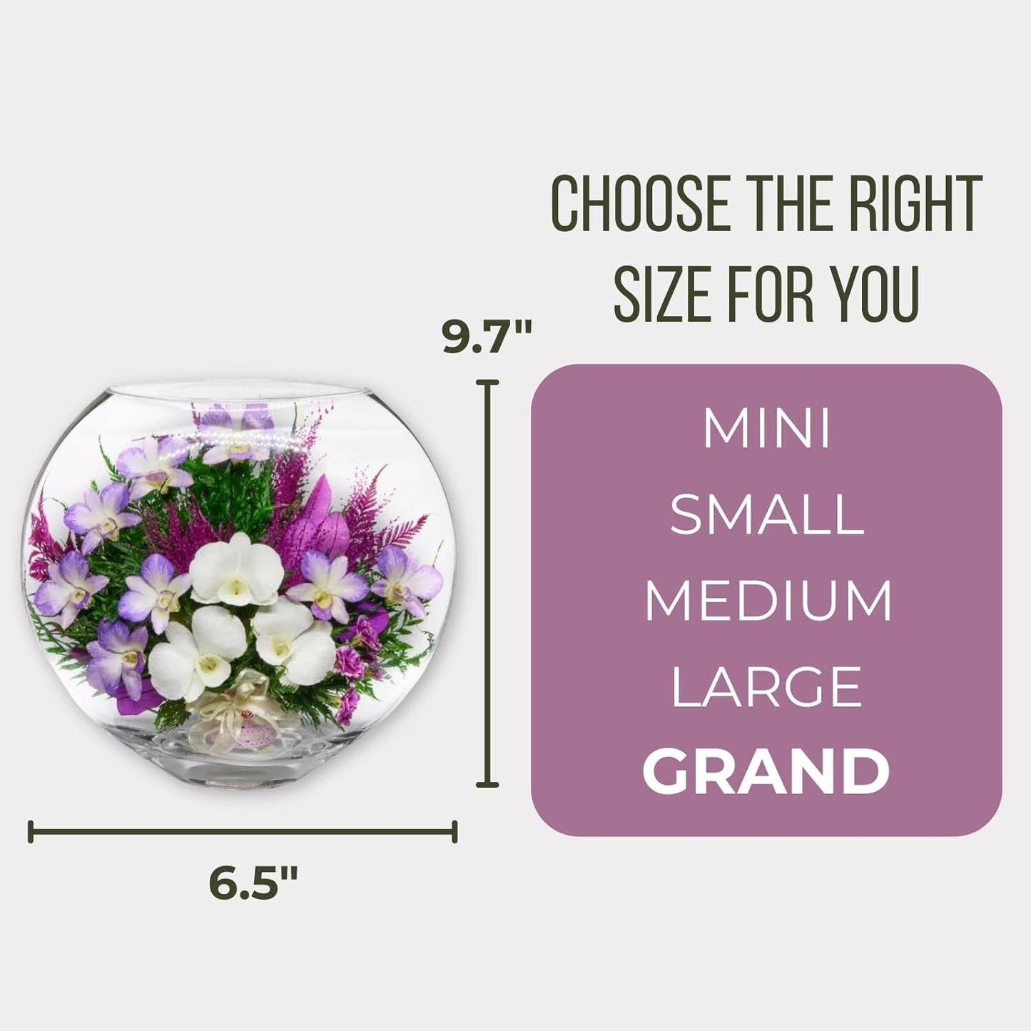 Fiora Flower Elegant Orchid Arrangement in Glass Vase | Preserved Real Orchids Lasting 5 Years | Ideal for Home Decor or Romantic Gift