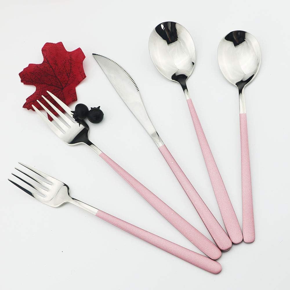 JASHII 20-Piece SUS304 Stainless Steel Flatware Set, Mirror Polishing Dinnerware Set Service for 4, Knife/Fork/Spoon/Dessert Spoon/Dessert Fork (Pink silver)