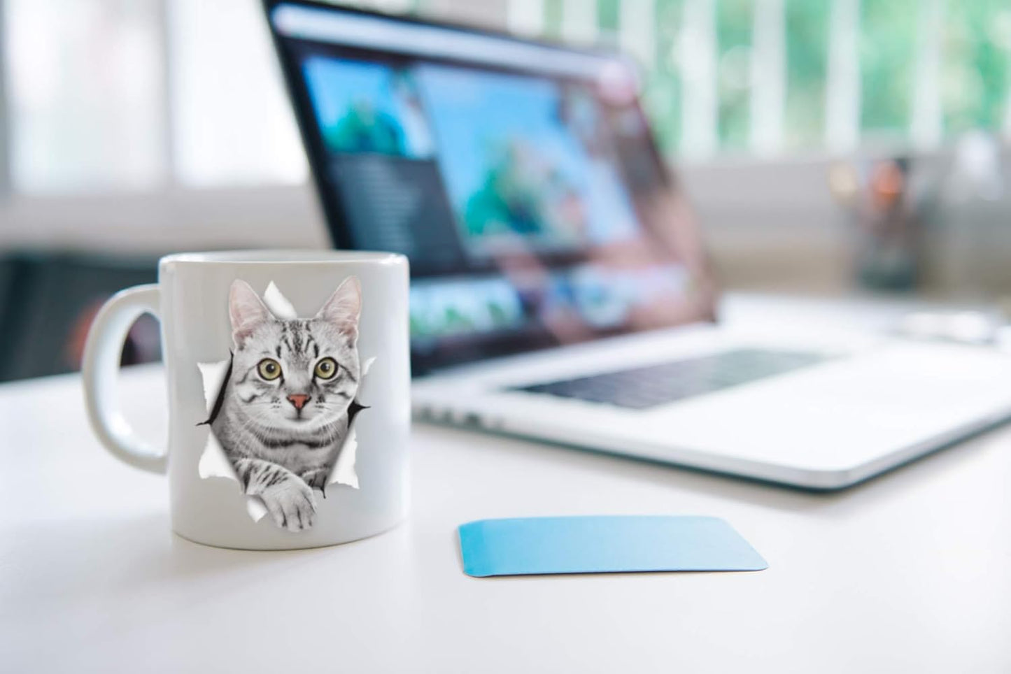 Winston & Bear Cute Grey Kitty Cat Mug - Funny Gray Tabby Ceramic Coffee Mug Gift for Dog Lovers Mom and Dad - Perfect Birthday or Christmas, Father's or Mother's Day Gift (11oz)