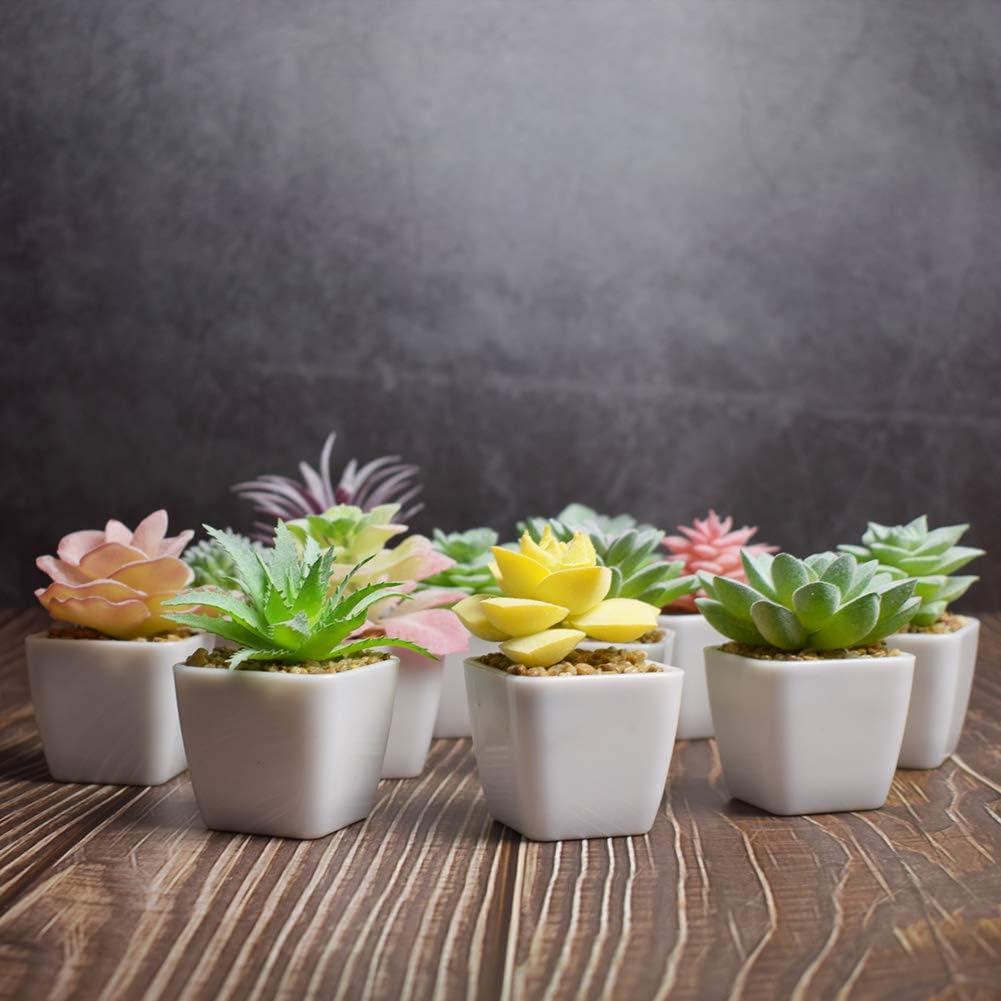 Tiita 24 Set Artificial Faux Succulents in Pots Fake Plants Plastic Arrangement Planter Small Mini Tiny Decoration for Home Office Desk Window Sill Bathroom Bedroom Outdoor Indoor