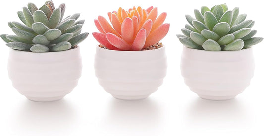 Tiita Artificial Faux Succulents in Pots Fake Plants Ceramic Arrangement Planter for Women Desk Small Mini Tiny Decoration for Home Office Desk Window
