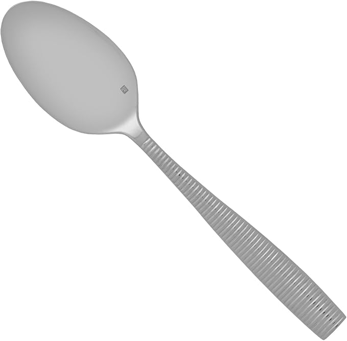 Fortessa Ringo 18/10 Stainless Steel Flatware Serving Spoon, 9.6-Inch,Silver