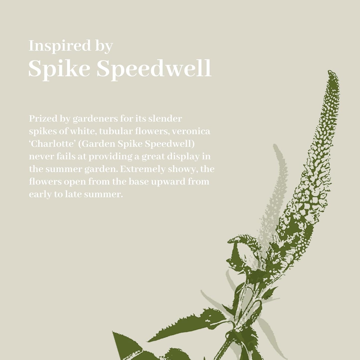 KOL 4ft Artificial Veronica Spiked Speedwell Grass, 47in Faux Veronica Spicata Flower, Tall Fake Reed Grass for Home Office Garden Wedding Decor, Indoor Outdoor Fake Plant, UV-Resistant, Yellow