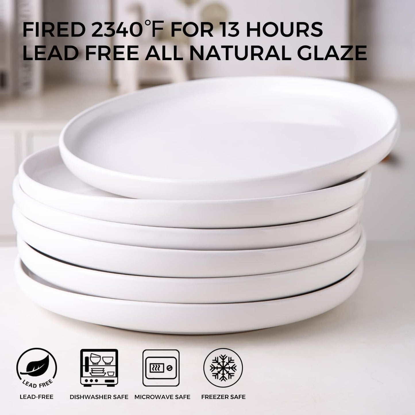 AmorArc Ceramic Dinner Plates Set of 6,10.5 inch Large Stoneware plates for Kitchen,Dinnerware Dishes set- Microwave,Dishwasher Safe,Scratch Resistant-White