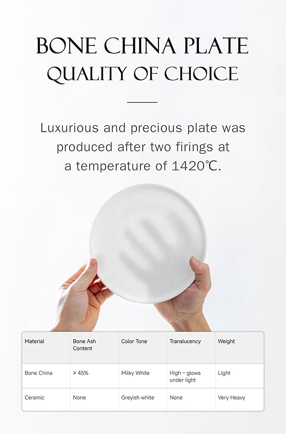 White Fine Bone China Dinner Plates, AntoKueh 10.6 Inch Large Serving Plate, Set of 6 with Shallow Edge for Pasta, Steak, Dishwasher/Microwave safe