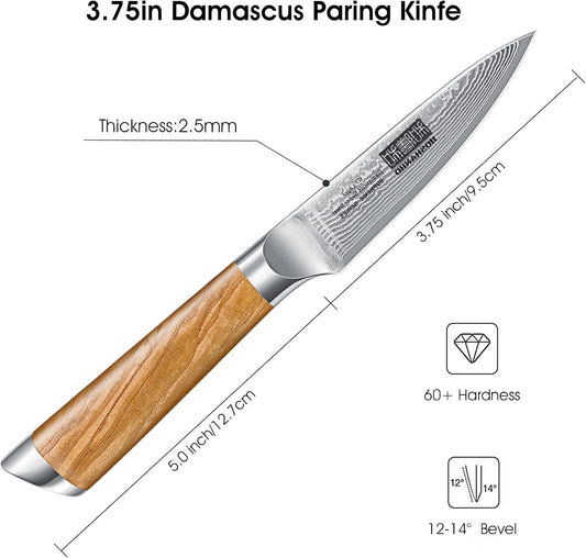 HOSHANHO Damascus Paring Knife 3.75 Inch, Professional 67 Layers Damascus Super Steel Small Fruit Knife, Super Sharp Hand Forged Japanese Paring Knife