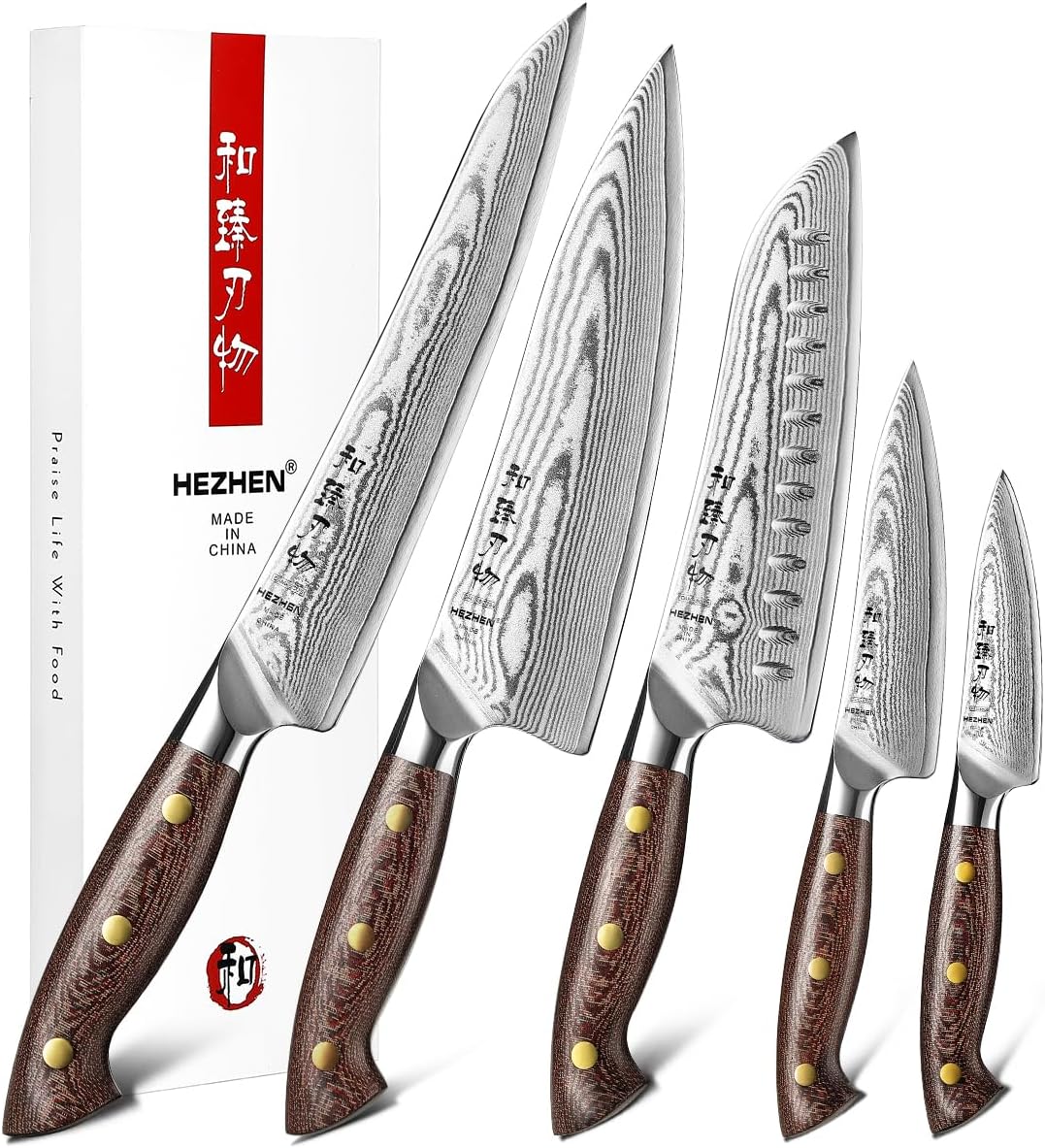 HEZHEN Damascus Chef Knife Set, 67 Layers Damascus Steel, 5PCS, Ultra Sharp, Professional Kitchen Knife Set for Chefs and Home Cooking, Ergonomic Micarta Handle, Gift Packing