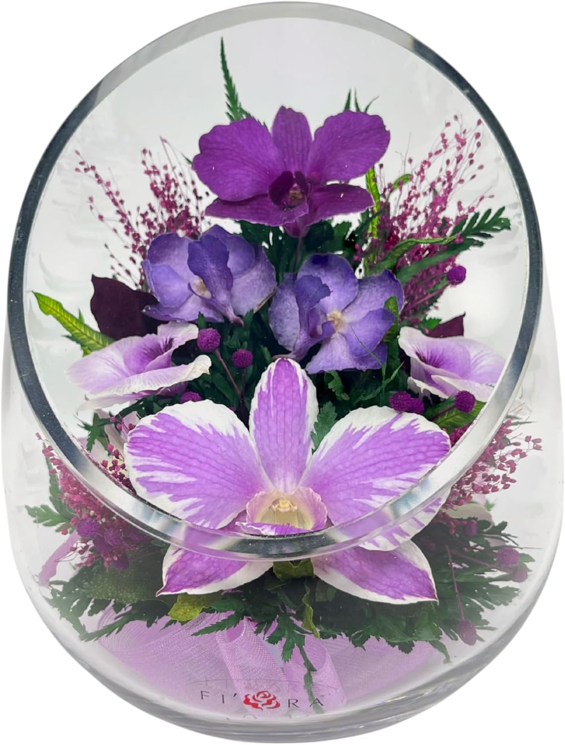 Fiora Flower Elegant Orchid Arrangement in Glass Vase | Preserved Real Orchids Lasting 5 Years | Ideal for Home Decor or Romantic Gift