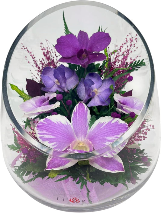 Fiora Flower Elegant Orchid Arrangement in Glass Vase | Preserved Real Orchids Lasting 5 Years | Ideal for Home Decor or Romantic Gift