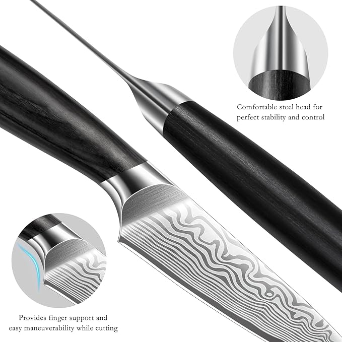 HOSHANHO Paring Knife 3.75 Inch, High Carbon Powder Steel Forged Small Kitchen Knives, Razor Sharp Japanese Fruit Knife with Ergonomic Pakkawood Handle