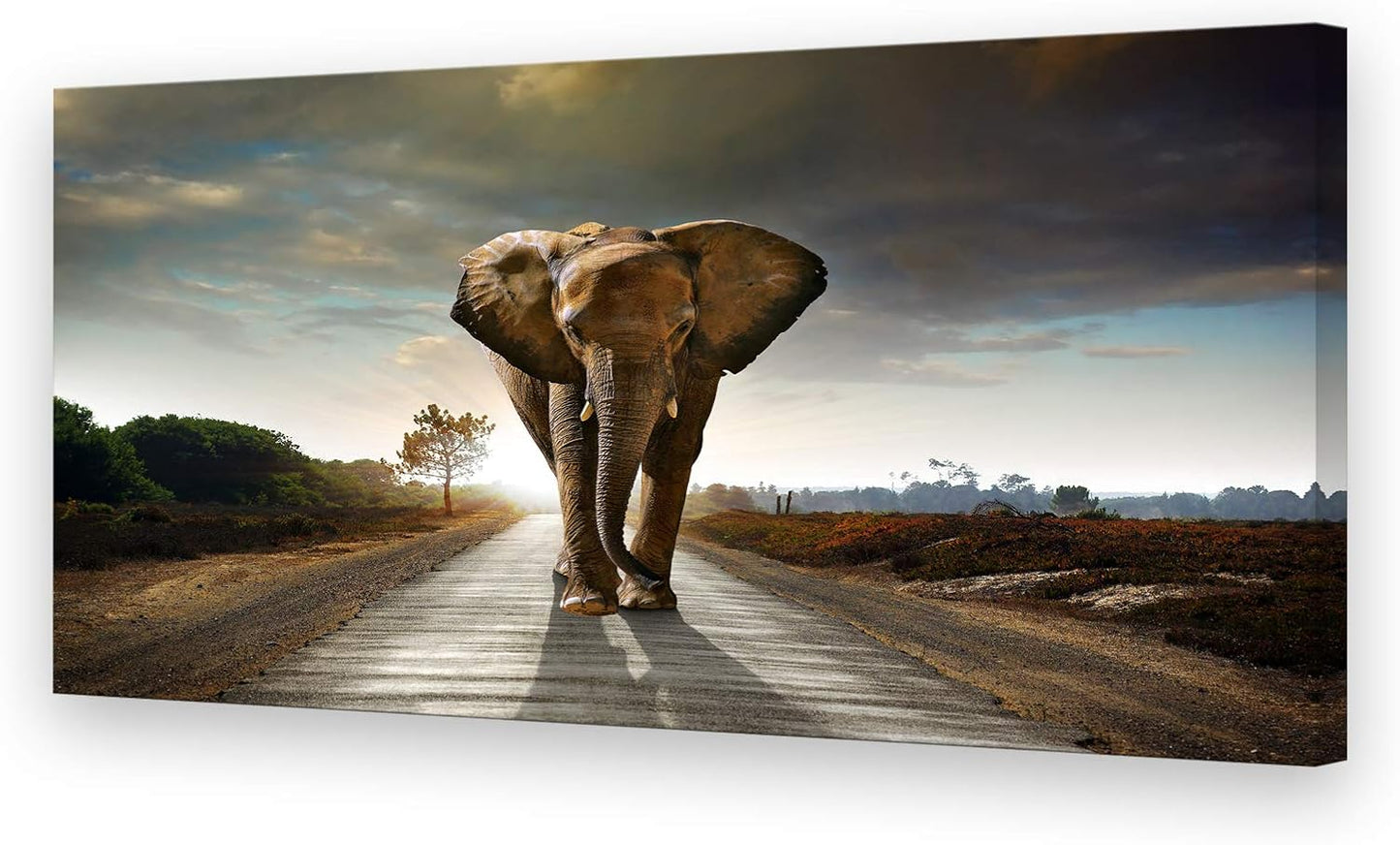 Muolunna D1262 Elephant Canvas Prints Wall Art Animals Photo Pictures Painting on Canvas Decor for Living Room Bedroom Home Office kitchen Wall Decor Stretched and Framed Grey Landscape Artwork