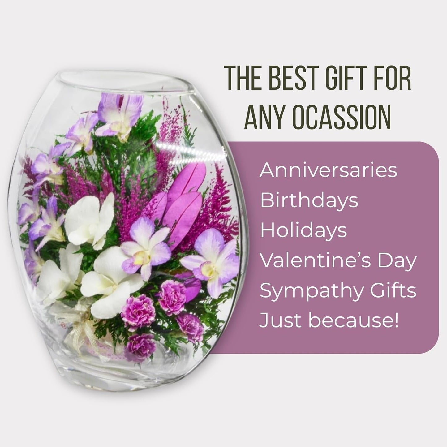 Fiora Flower Elegant Orchid Arrangement in Glass Vase | Preserved Real Orchids Lasting 5 Years | Ideal for Home Decor or Romantic Gift